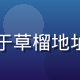 导航编辑主编陈晓峰的工作照，专注于草榴地址监控系统维护，背景为蓝色技术界面
